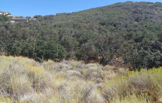 2.56-acre Gem in Kern County Constance Way